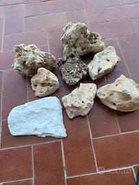 Rocce marine ex vive candeggiate