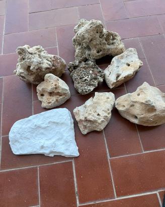 Rocce marine ex vive candeggiate