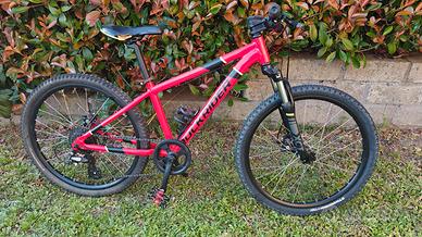 Rockrider ST900 24 pollici