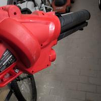 Soffiatore Aspiratore Foglie elettrico Einhell