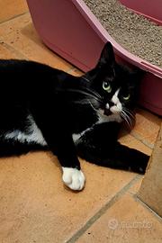 Lucio è malato,per quest nessuno lo vuole da 9 me