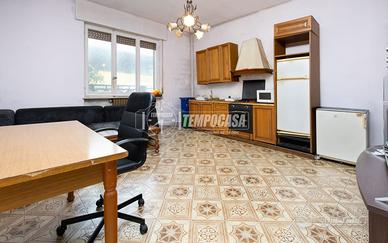 AMPIO BILOCALE CON CANTINA !