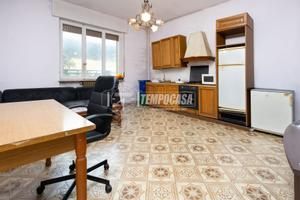 AMPIO BILOCALE CON CANTINA !