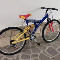 bicicletta da ragazzo
