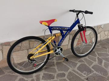 bicicletta da ragazzo