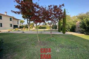 Rustico dagli ampi spazi con terreno