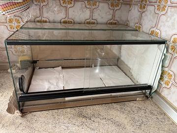 Teca rettili