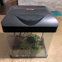 Acquario pesci con pompa
