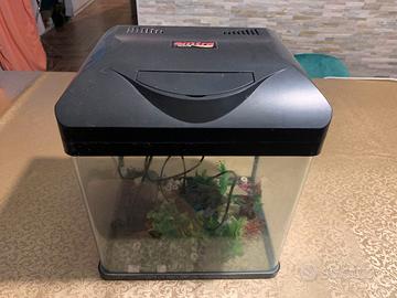 Acquario pesci con pompa