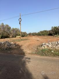 Terreno agricolo edificabile