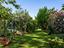 Immagine 26