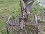 Immagine 2