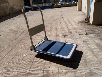 Carrello pieghevole portatutto