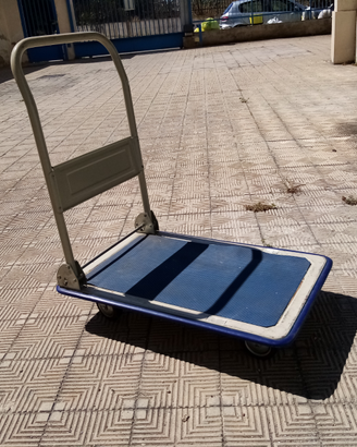 Carrello pieghevole portatutto