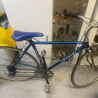 Bicicletta chesini
