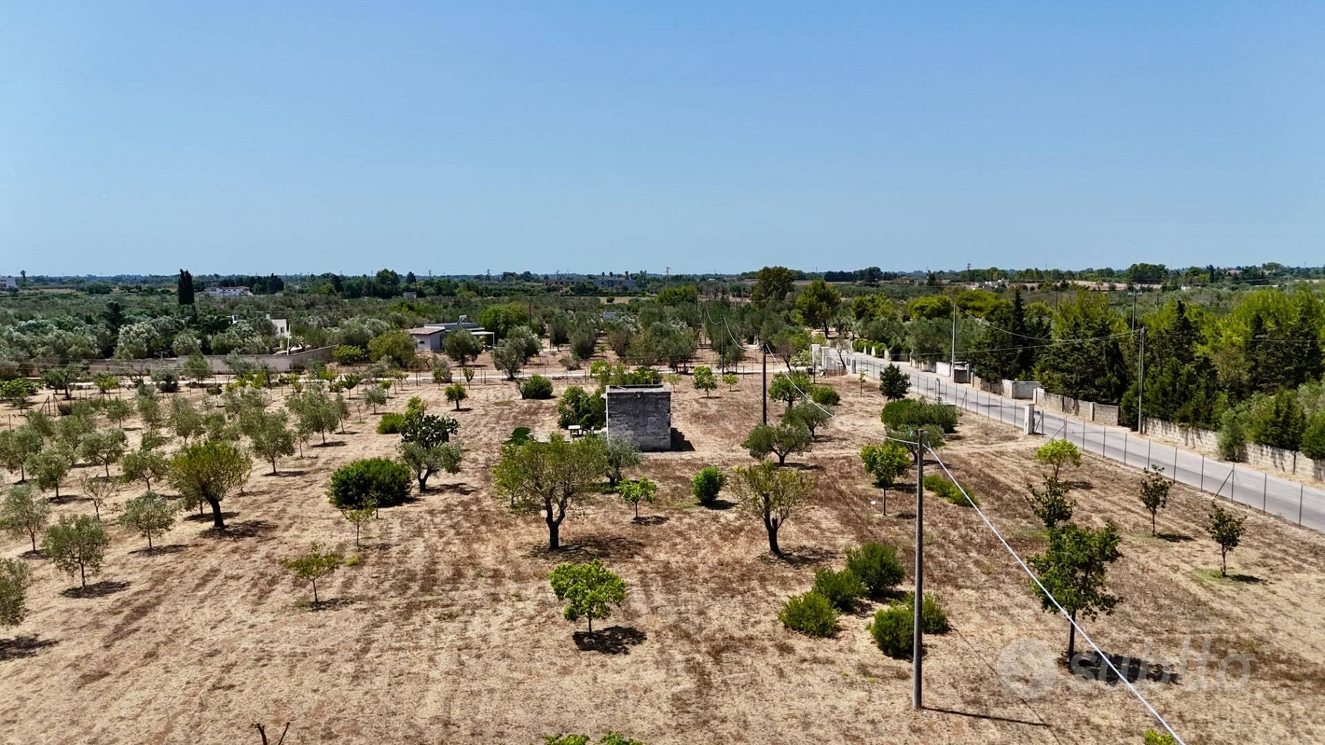 Rustico/Casale/Corte - Novoli - Vista 2