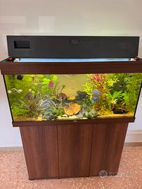 Acquario 180 lt juwel