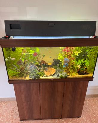 Acquario 180 lt juwel