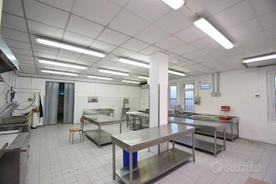Rif.2460UF74434- laboratorio piacenza