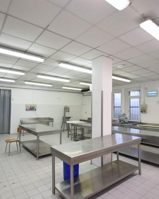 Rif.2460UF74434- laboratorio piacenza
