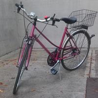 City bike unisex del 28