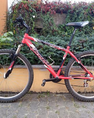 Bicicletta Nuzzi Jngo 26"