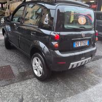 Panda cross