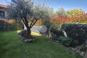 VILLA A SCHIERA A ADRO