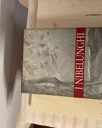 Libro “I Nibelunghi” – edizione italiana –