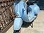 Immagine 1