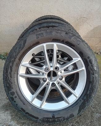 Gomme antineve
