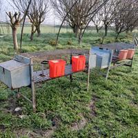 gabbie usate per conigli fattrici