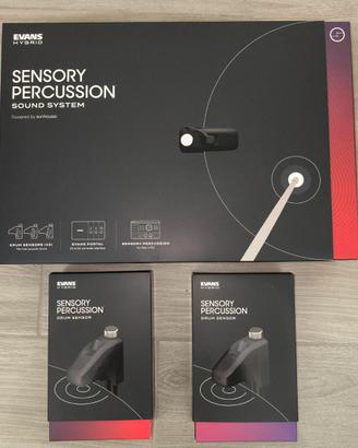 EVANS Hybrid Sensory Percussion System (5 sensori)