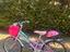 Immagine 2