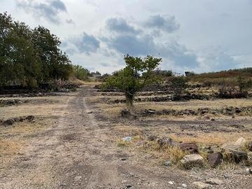 Terreno 600mq Francofonte