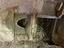 Immagine 26