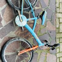 Bicicletta bambino/a
