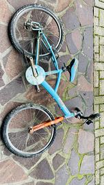 Bicicletta bambino/a