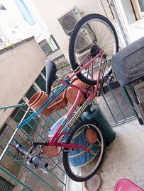 bicicletta longoni