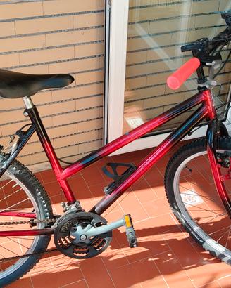 bici Mountain bike con cambio Shimano 26