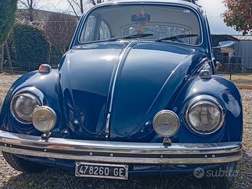 ..maggiolino VW..