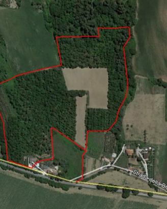 Azienda agraria