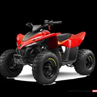 CFMOTO Altro modello