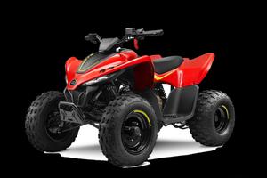 CFMOTO Altro modello