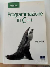 Programmazione in C++