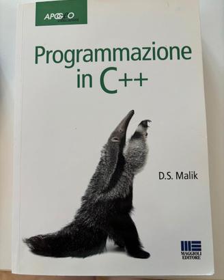 Programmazione in C++