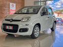 fiat-panda-easy-1-2-benz-69-cv-euro6d