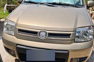 Fiat Panda 4x4 Climbing benzina e gas