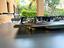 Immagine 6