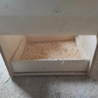 Nidi per calopsiti artigianali